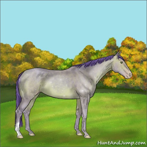 Horse Color:Watercolor Sable Champagne 