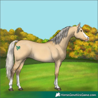 Horse Color:Silver Buckskin Dun 