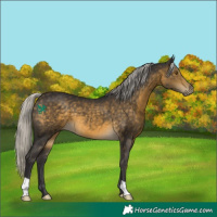 Horse Color:Silver Buckskin 