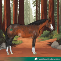 Horse Color:Brown 