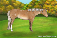 Horse Color:Silver Buckskin 