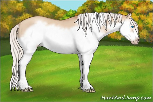 Horse Color:Silver Classic Champagne Dun Splash Frame 