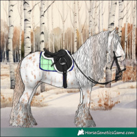 Horse Color:Gold Champagne Appaloosa  and White Spotted Gold Champagne Appaloosa 