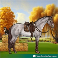 Horse Color:Platinum Chocolate Brown Roan 