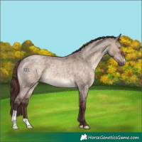 Horse Color:Chocolate Brown Roan Dun 