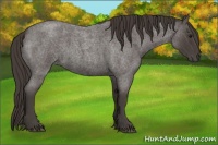 Horse Color:Smoky Blue Roan 