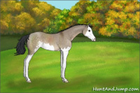 Horse Color:Brown Dun Sabino Splash 