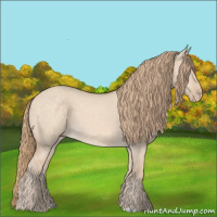 Horse Color:Perlino Dun 