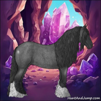 Horse Color:Blue Roan Tobiano 