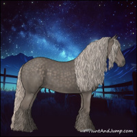 Horse Color:Silver Black