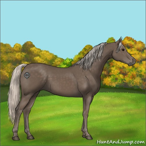 Horse Color:Silver Black 