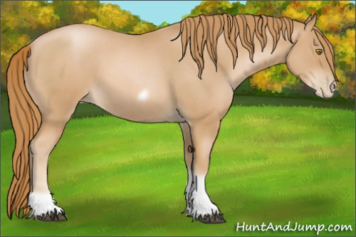 Horse Color:Red Roan Pearl Tobiano Frame 
