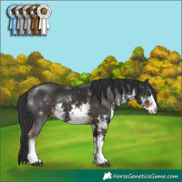 Horse Color:White Spotted Liver Chestnut Sabino 