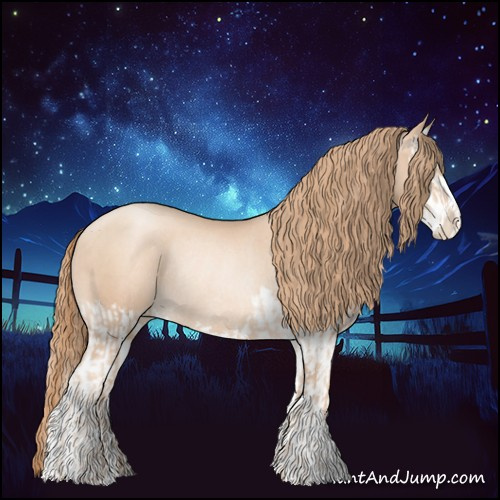 Horse Color:Gold Champagne Pearl Rabicano and Gold Champagne Pearl Splash Rabicano