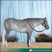Horse Color:Silver Black Chinchilla