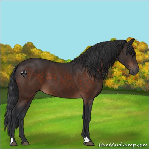 Horse Color:Brown 
