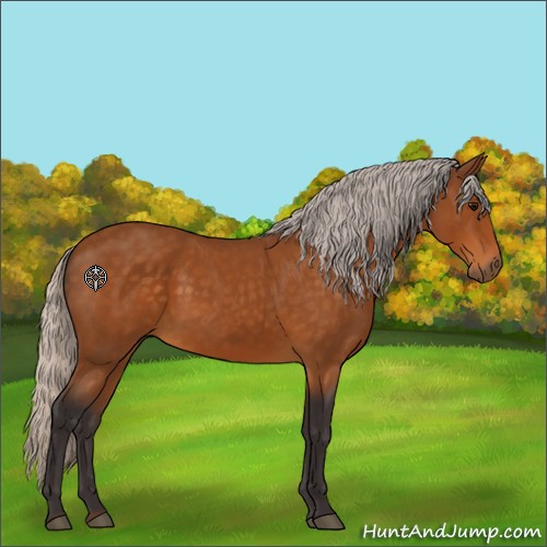 Horse Color:Silver Buckskin 