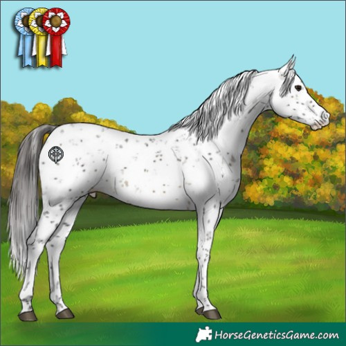 Horse Color:Buckskin Sabino 