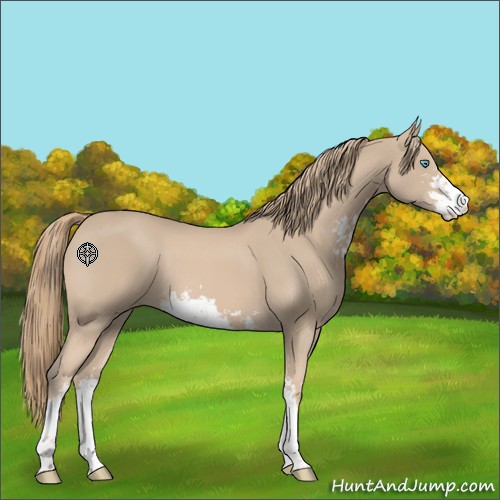 Horse Color:Smoky Creme Sabino 