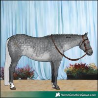 Horse Color:Silver Black Chinchilla 