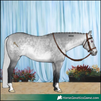 Horse Color:Silver Bay Chinchilla Dun 