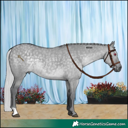 Horse Color:Silver Grullo Chinchilla 