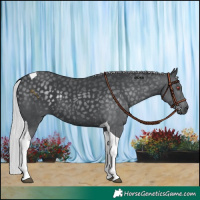 Horse Color:Silver Black Chinchilla Tobiano 