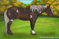 Horse Color:White Spotted Silver Brown Tobiano 