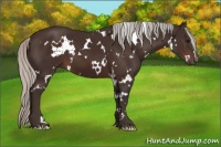 Horse Color:White Spotted Silver Brown 