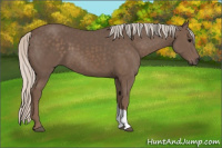 Horse Color:Silver Black 