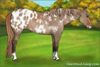Horse Color:White Spotted Liver Red Dun Tobiano Near Leopard Rabicano 