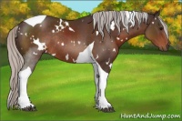 Horse Color:White Spotted Silver Brown Tobiano Rabicano