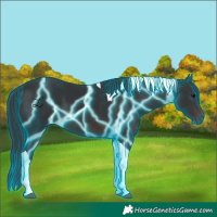Horse Color:Thunderstruck Brown Tobiano 