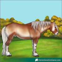 Horse Color:Silver Brown Onyx 