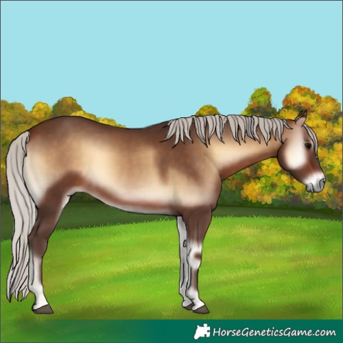 Horse Color:Silver Brown Onyx 