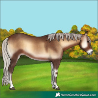 Horse Color:Silver Brown Onyx 
