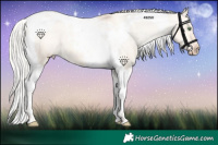 Horse Color:Silver Amber Champagne Dun Tobiano Varnish 