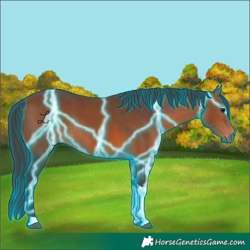 Horse Color:Thunderstruck Bay Tobiano Rabicano 