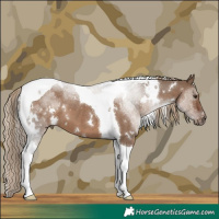 Horse Color:White Spotted Liver Red Dun Tobiano 