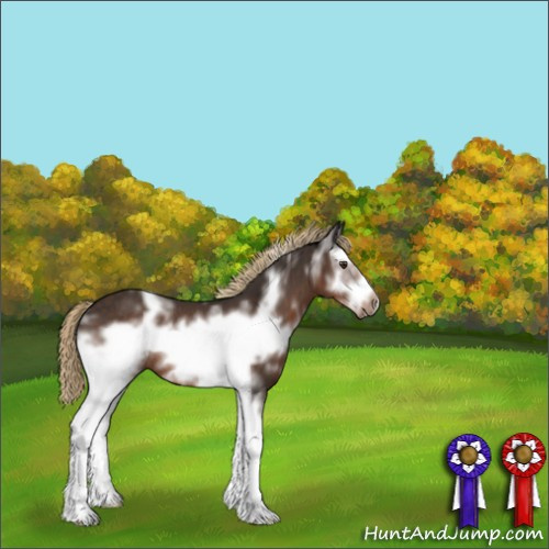 Horse Color:White Spotted Liver Chestnut Sabino Frame Rabicano 