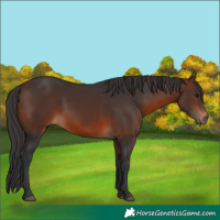 Horse Color:Brown 