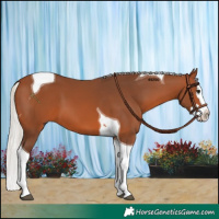 Horse Color:Silver Brown Splash Tobiano 