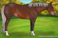 Horse Color:Silver Brown 