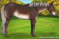 Horse Color:Silver Brown 