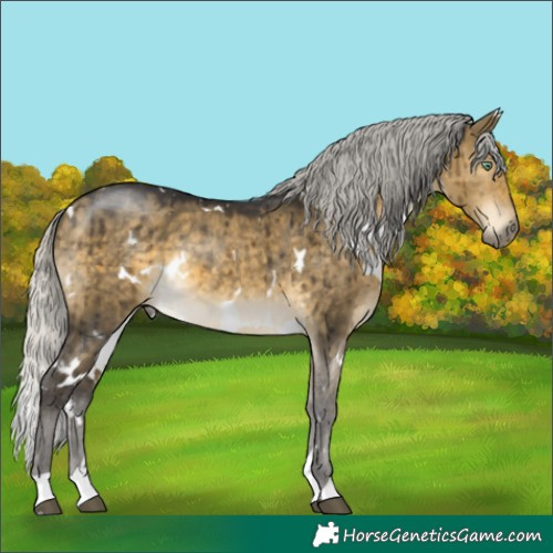 Horse Color:White Spotted Silver Buckskin Dun Mushroom Brindle 