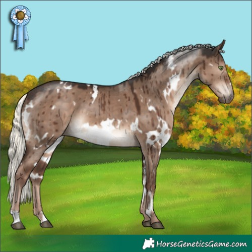 Horse Color:White Spotted Liver Red Dun Mushroom Brindle 