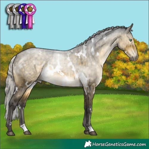 Horse Color:White Spotted Silver Buckskin Dun Mushroom Brindle 