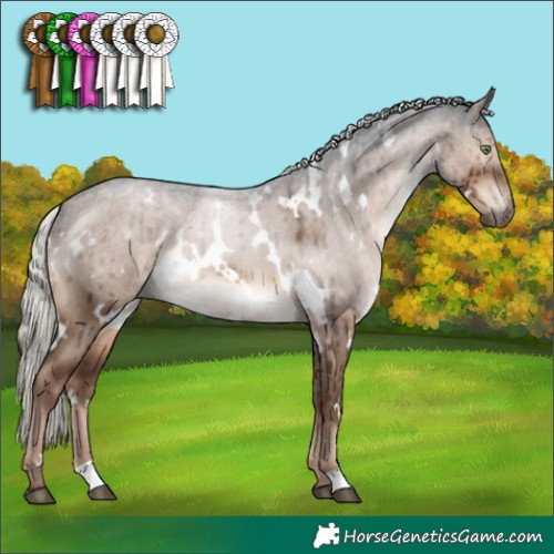 Horse Color:White Spotted Liver Red Dun Mushroom Brindle 
