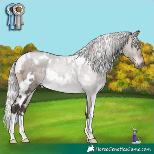 Horse Color:White Spotted Silver Brown Dun Mushroom Brindle 