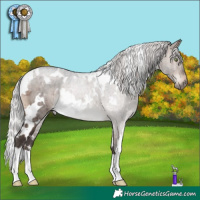 Horse Color:White Spotted Silver Brown Dun Mushroom Brindle 